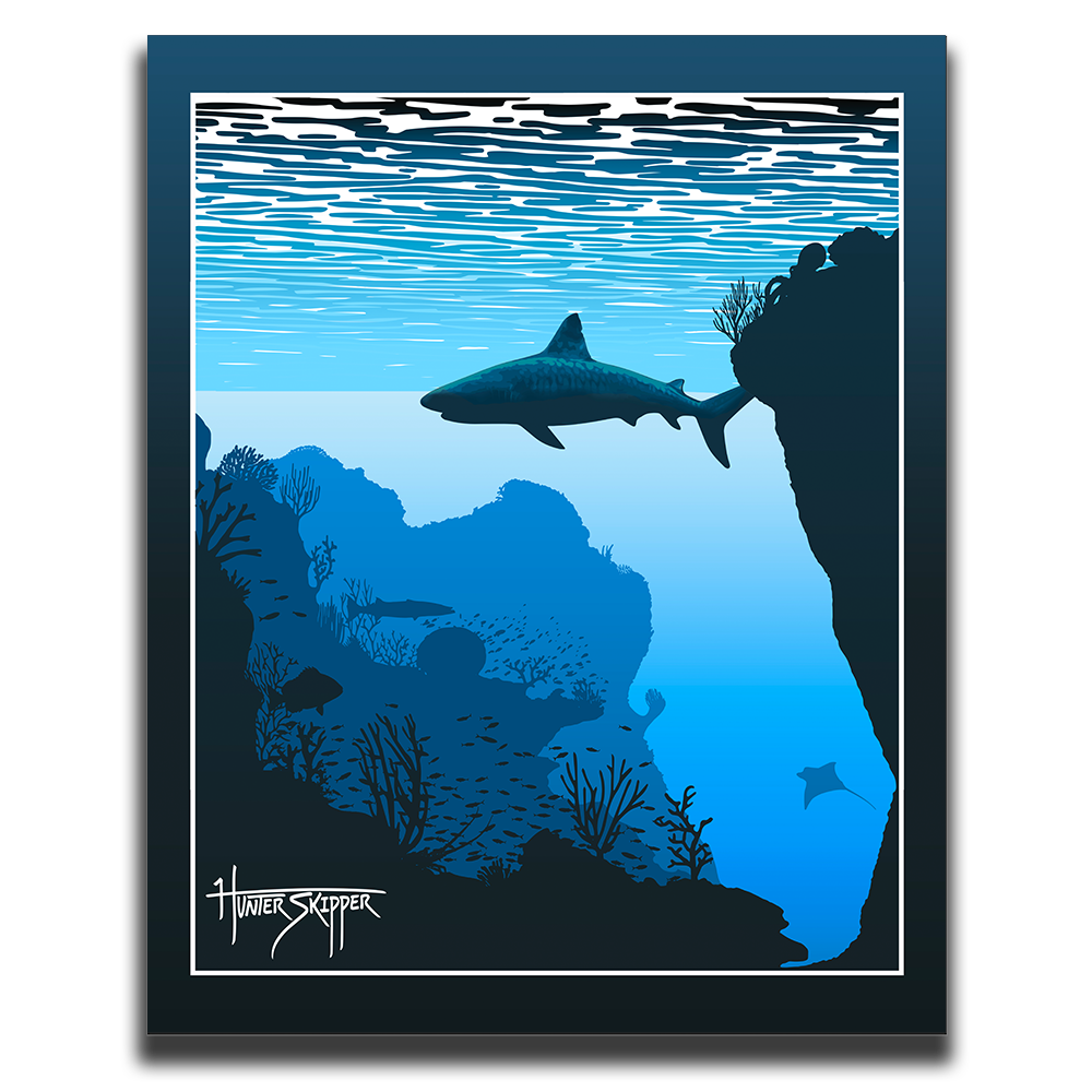 Florida Tiger Shark Canvas